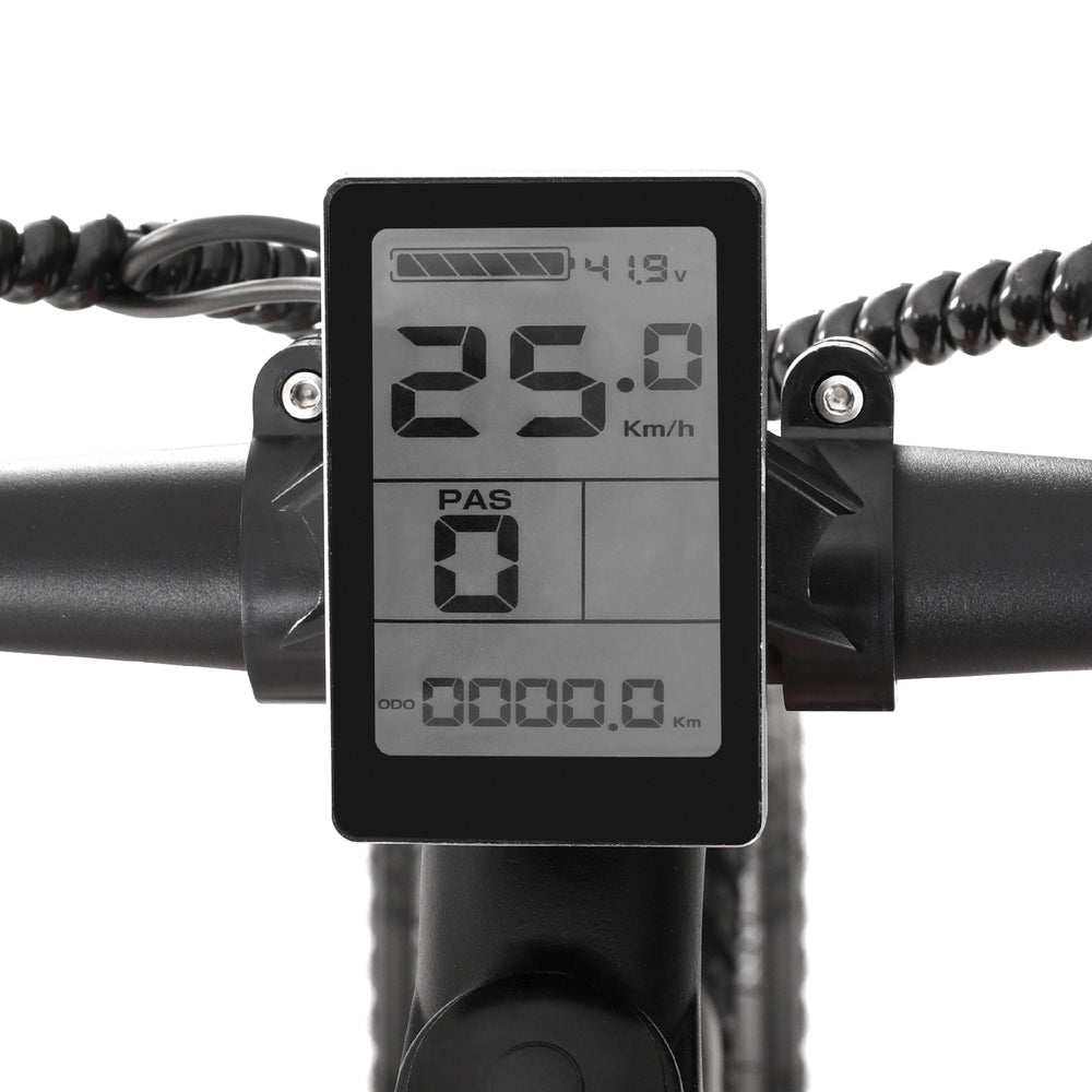 Everfit 26 Inch Electric Mountain Bicycle Built-in Battery 250W