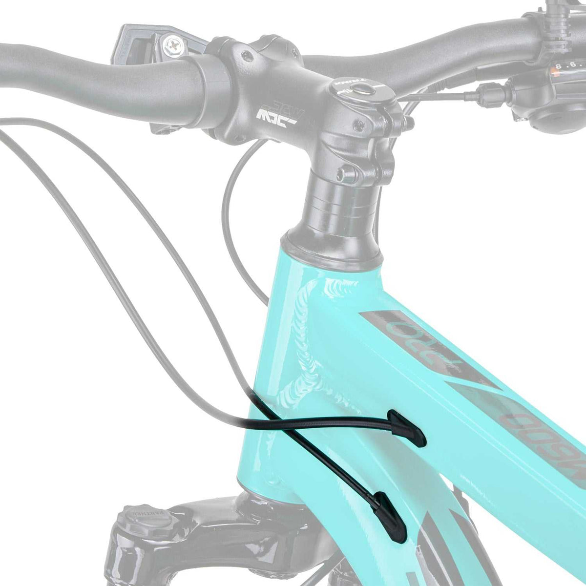 19 Inch Frame Mountain Bike with 24 Speed | Blue