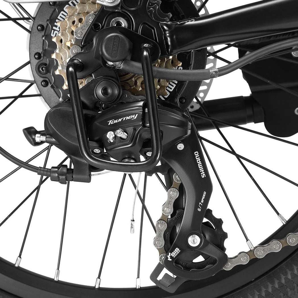 20 Inch Folding Electric Bicycle with Mechanical Disc Brakes | Black