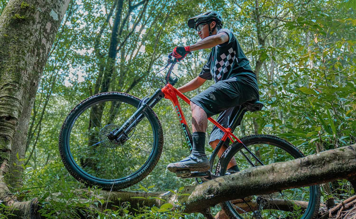 29 Inch Size L Full Suspension Mountain Bike | Red/Black