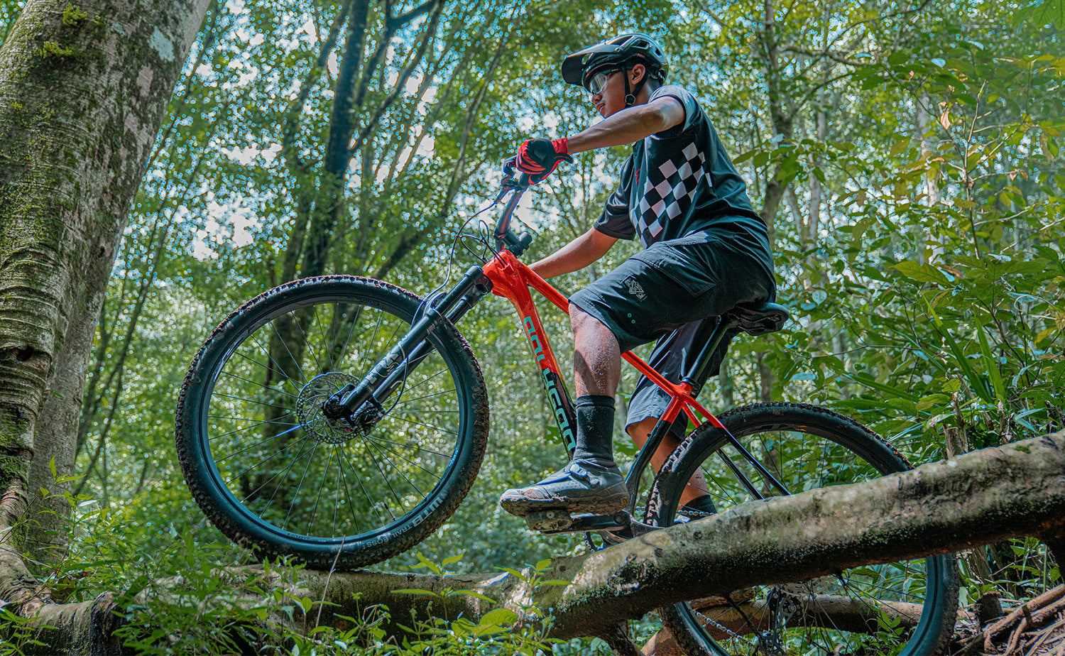 29 Inch Size L Full Suspension Mountain Bike | Red/Black